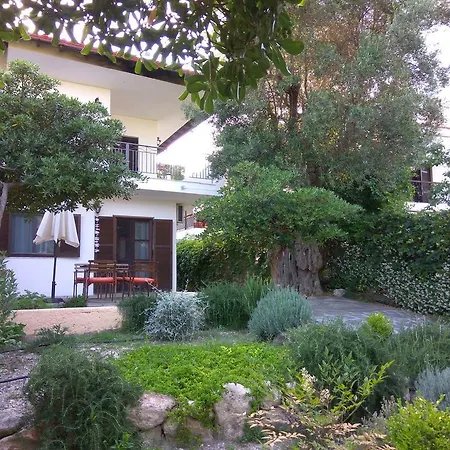 Neria Summer Houses Hanioti Exterior photo