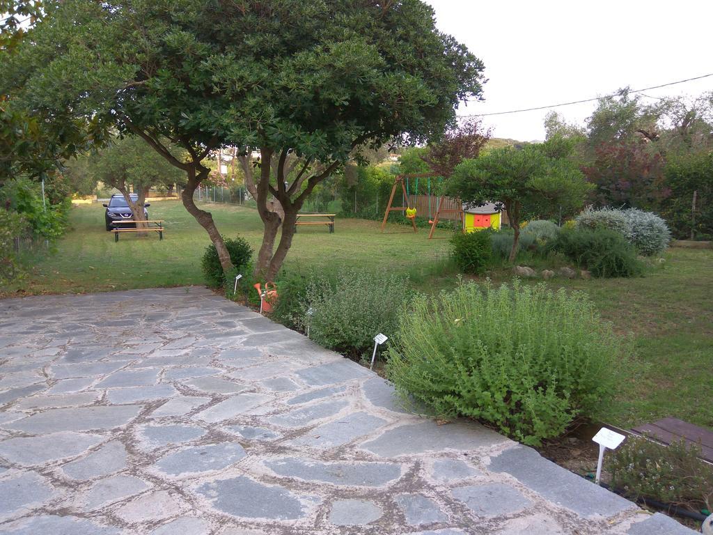Neria Summer *