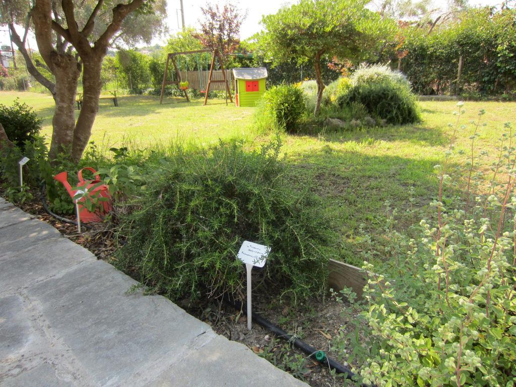 Apartmán Neria Summer